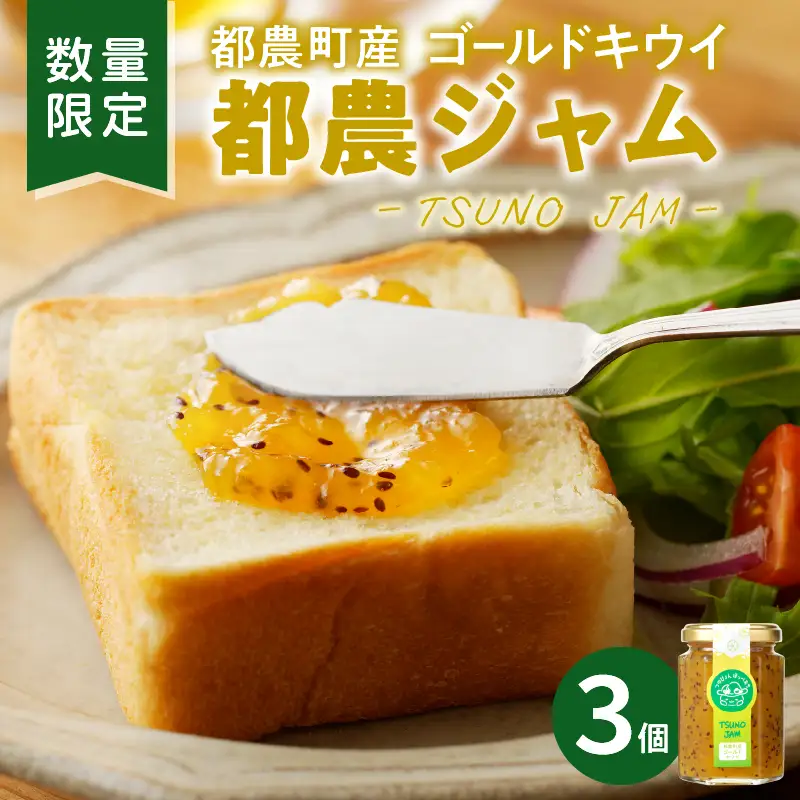 TSUNO JAMゴールドキウイ(計3個) 加工食品 フルーツ 果物 国産_T043-0057